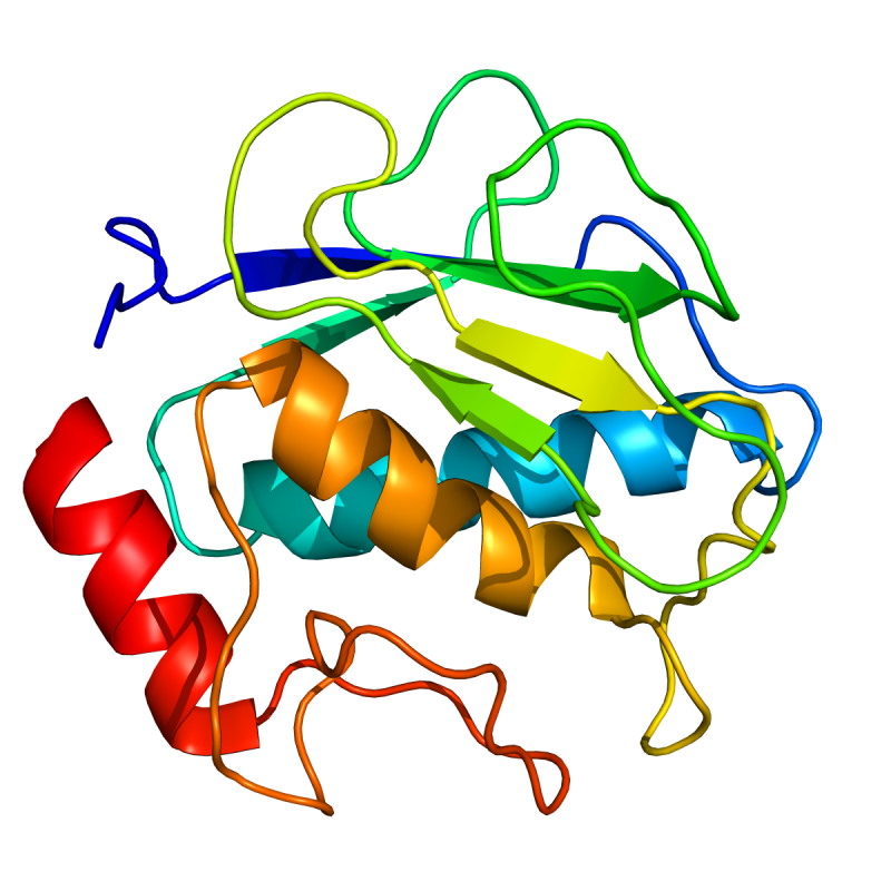 mmp1_cat | custom organic synthesis