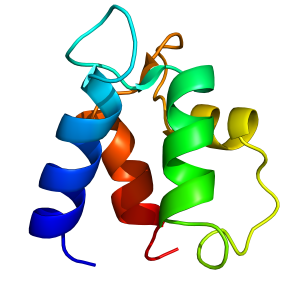 Calbindin D9K | recombinant proteins offer