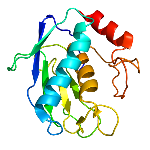 mmp9 | recombinant proteins offer