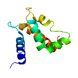 S100A7 | recombinant proteins offer