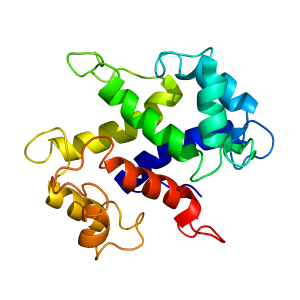 S100A13 | recombinant proteins offer