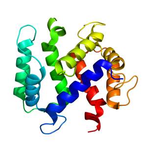 S100A2 | recombinant proteins offer