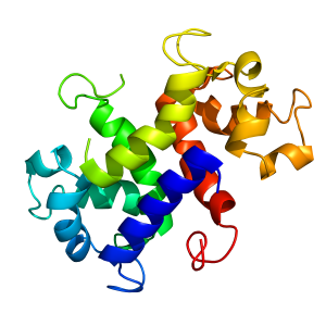 S100P | recombinant proteins offer