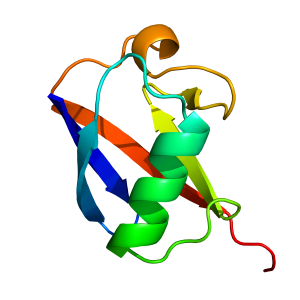 Ubiquitin | standard NMR