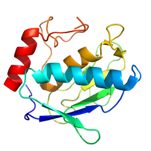 mmp10 recombinant proteins offer