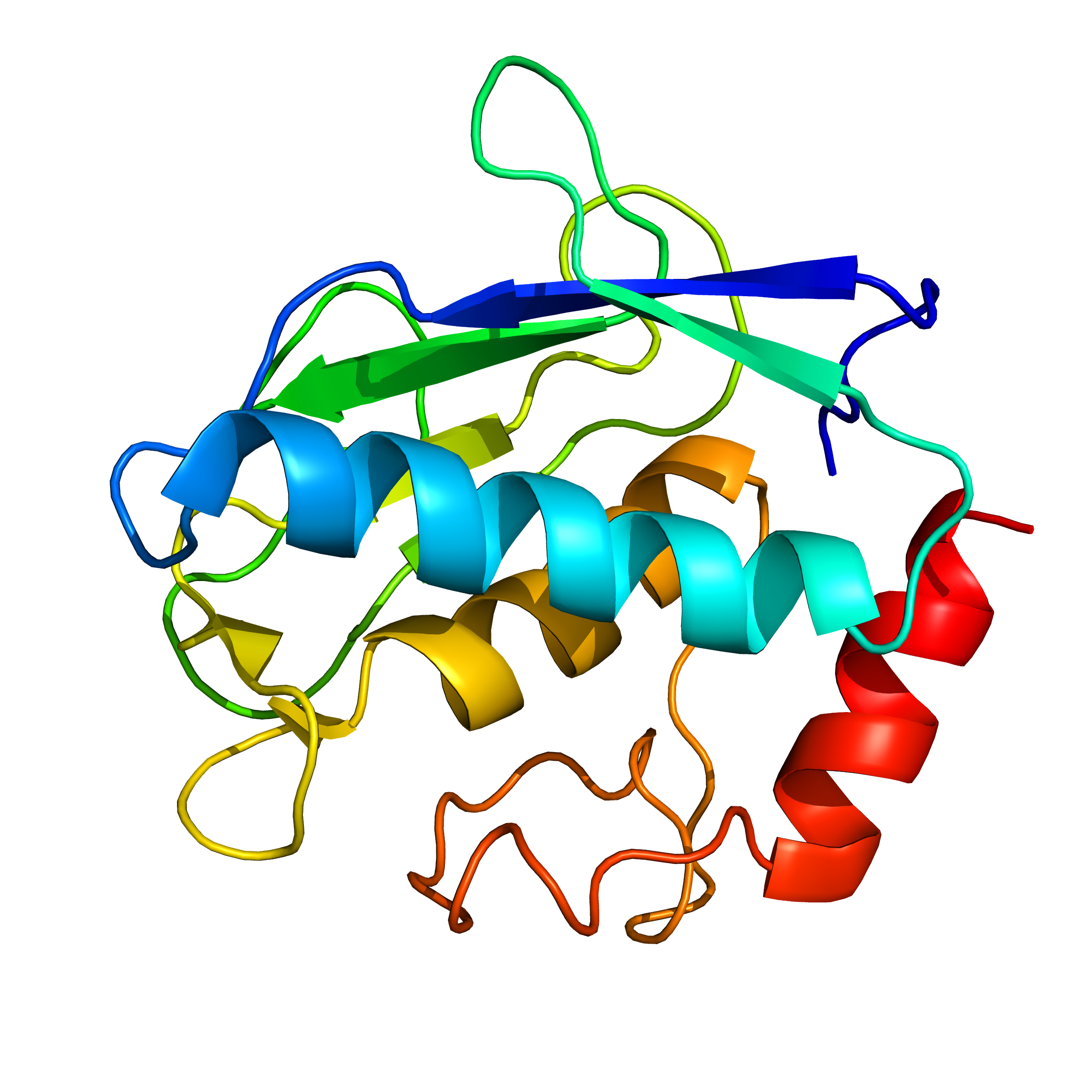 mmp12_cat | recombinant proteins offer