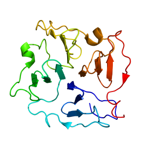 mmp12hpx | recombinant proteins offer