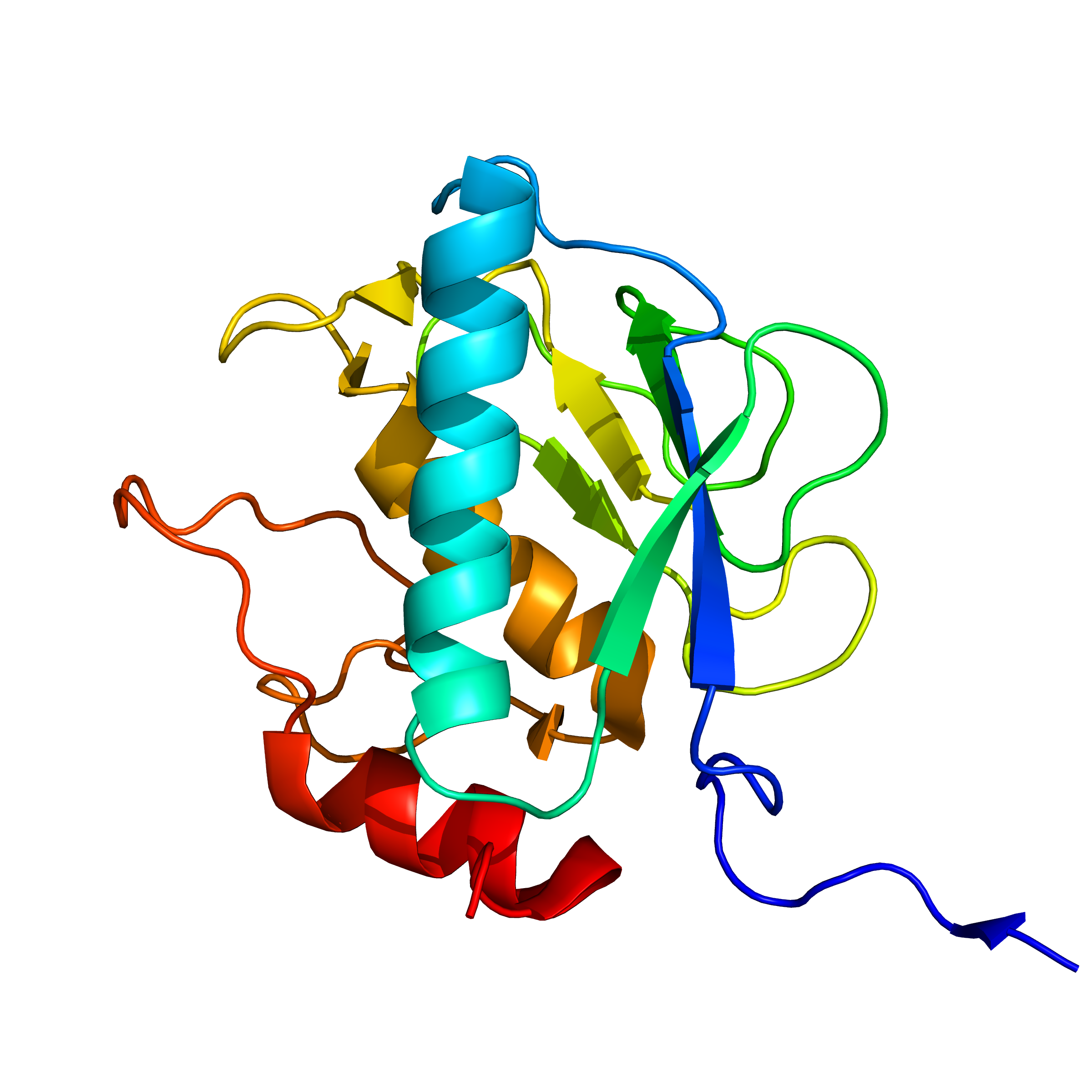 mmp13 | recombinant proteins offer