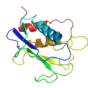 mmp2_cat | recombinant proteins offer