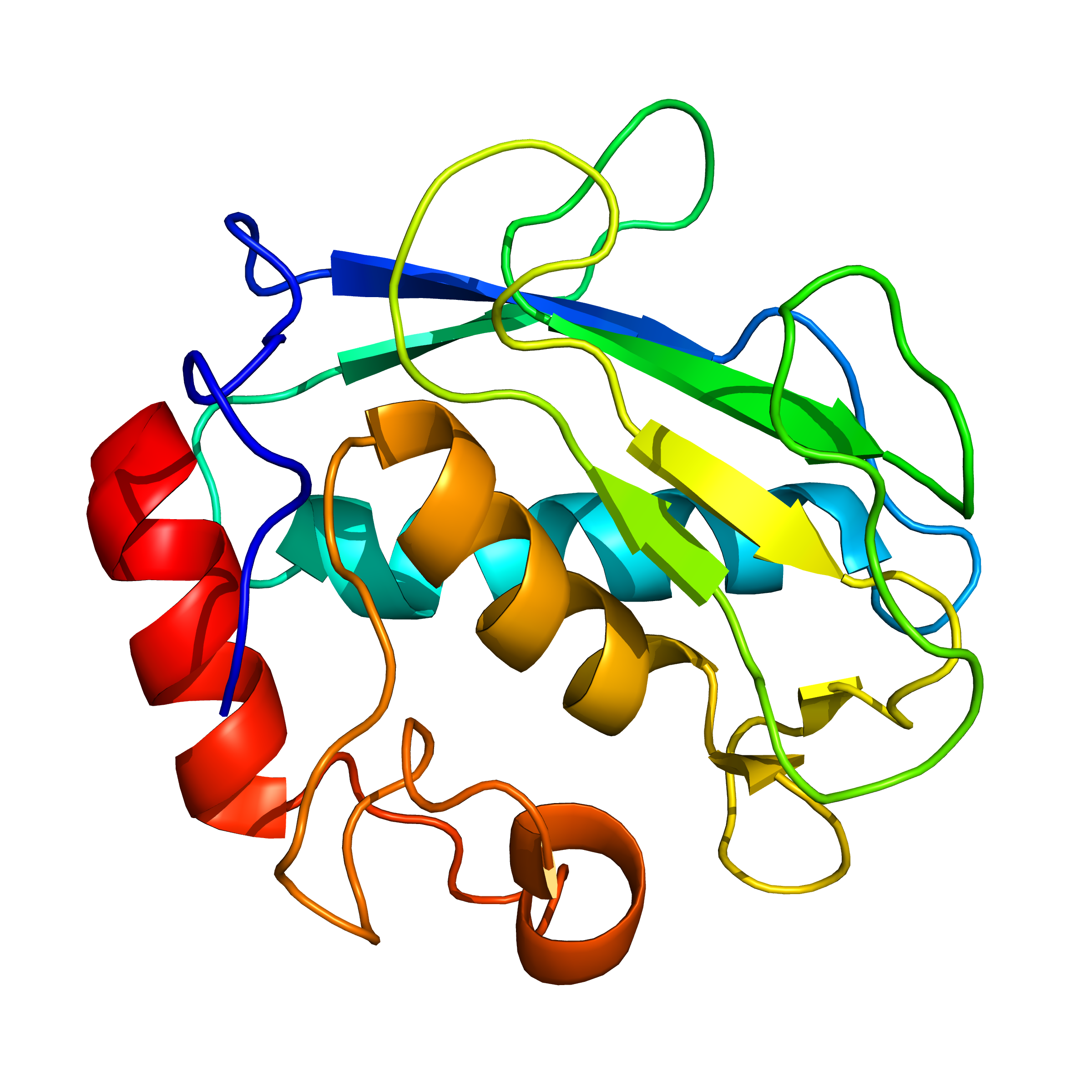 mmp3 | recombinant proteins offer