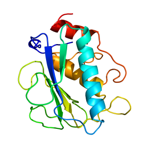 mmp7 | recombinant proteins offer