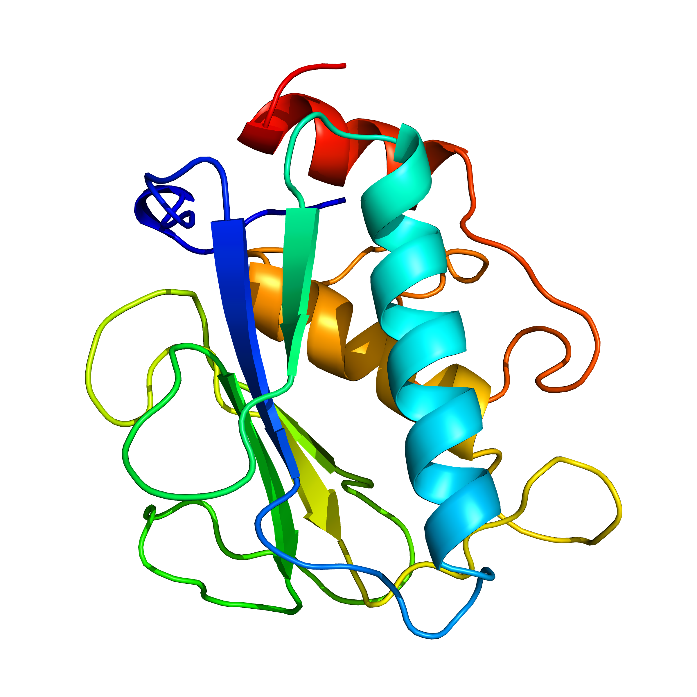 mmp7 | recombinant proteins offer