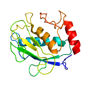 mmp8 | protein custum service Giotto biotech