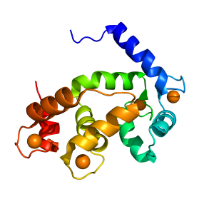 Calmodulin | Metabolomics