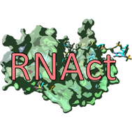 Hiring Ph.D. students (or “early stage researchers”, ESRs) for RNAct project!