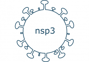 nsp3 protein sars-cov-2