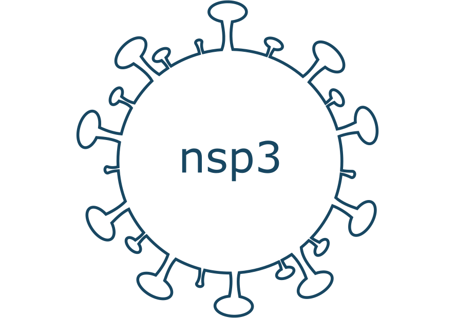 nsp3 protein sars-cov-2