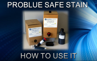 How to use ProBlue Safe Stain