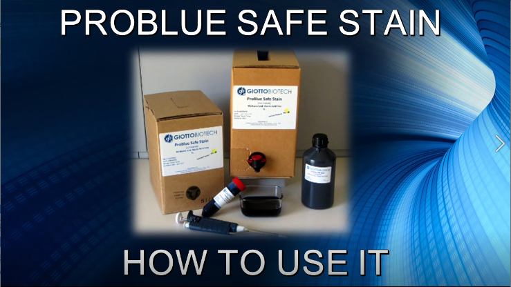 How to use ProBlue Safe Stain